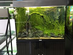 -银座商城(东城店)