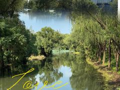 -昆山城市生态森林公园