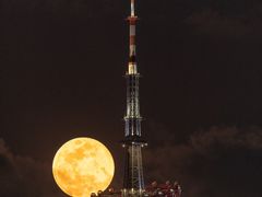 -诺莱仕游艇会