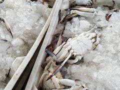 -浦商菜市场·锦德店