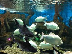 -石林冰雪海洋世界