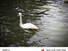 -安徽八里河旅游区