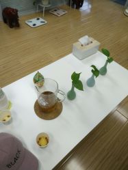 -维纳斯专业减肥