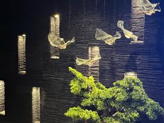 -上足·影院足道·SPA(红岭店)