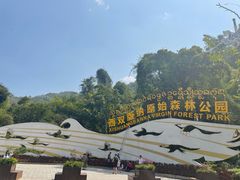 -西双版纳原始森林公园