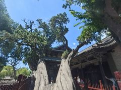 -晋祠公园
