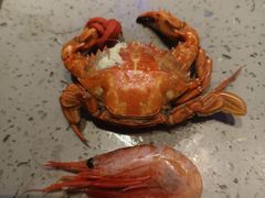 -乔哥铭洋海鲜自助(皇城恒隆广场店)