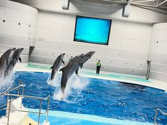 -鹿儿岛水族馆