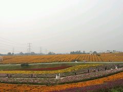 -紫颐香薰山谷景区