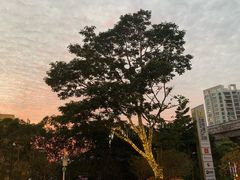 -布吉佳兆业广场