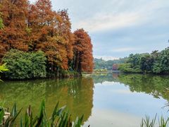 -深圳仙湖植物园