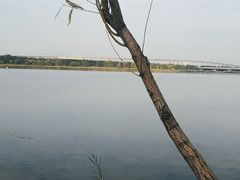 -绿堤公园