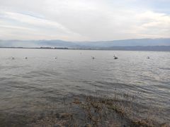 -西昌邛海宾馆