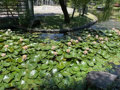 -宁波九龙湖开元度假村