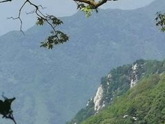 -王顺山国家森林公园
