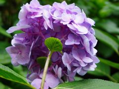 -常州古运河南大街文化旅游区-人民公园