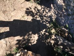 长春公园-长春公园(普阳街道)