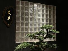 -椿杨樘·明康泡浴养生馆(重庆店)