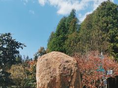 -捞渔河湿地公园