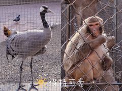 -北宫国家森林公园