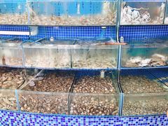 水产区-蟹谢蒸鲜自助餐厅