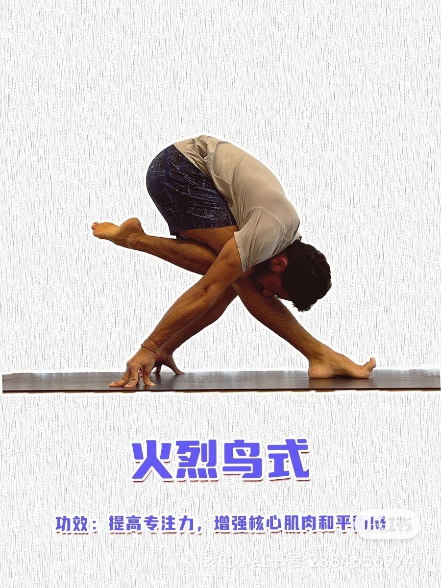 瑜伽老鸟不能错过的92谦卑火烈鸟式