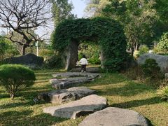 -东莞植物园