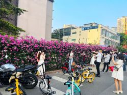 -联合丽格·张菡丽格医疗美容