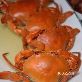 中秋国庆假期｜留在广州觅食｜去南沙十四涌搭末班车吃奄仔蟹