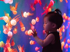 -成都浩海立方海洋公园