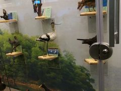 -下渚湖国家湿地公园科普馆