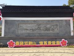 -香雪海