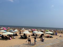 -日照海滨国家森林公园