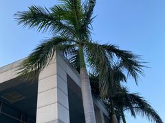 -厦门国家会计学院