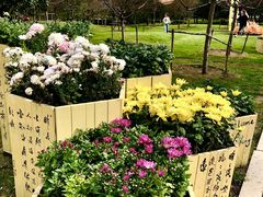 -沈阳植物园