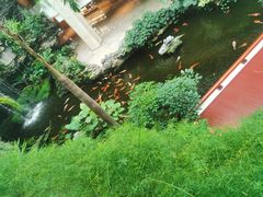 -广州白天鹅宾馆