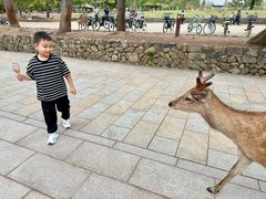 -奈良公园