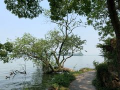 -浙江西子宾馆·瑶园咖啡厅