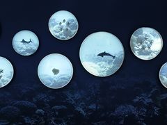 -上海中国航海博物馆