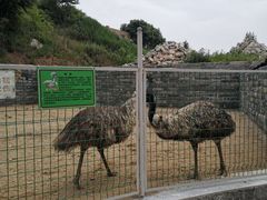 -清风小镇闯关东影视基地