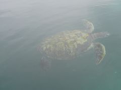 -硇洲岛旅游区