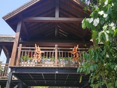-亚龙湾热带天堂森林公园