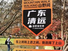 -田野绿世界