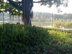 -东莞植物园
