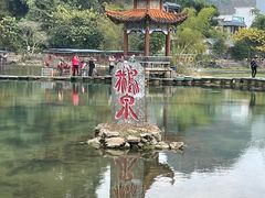 -靖西鹅泉风景区