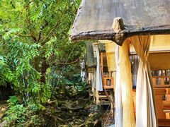 -天门沟九州驿站树上汤泉