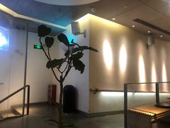 -喜茶(东莞汇一城店)