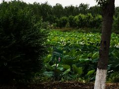 -兰陵国家农业公园