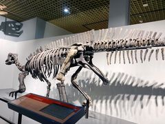 -大连自然博物馆·地球展厅