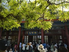 -《12·12》西安事变大型实景演出